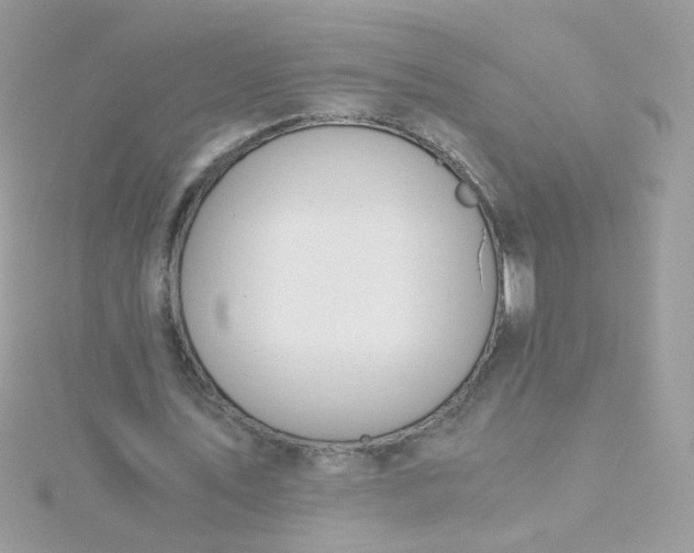 X0000115660579200911251711
