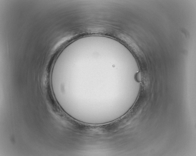 X0000115660583200911251711