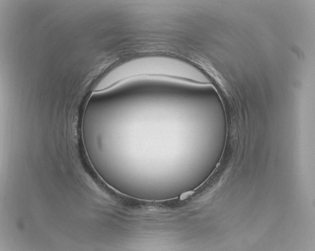 X0000115660585200911251711
