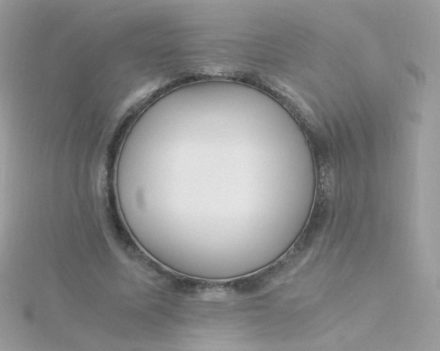 X0000115660587200911251711