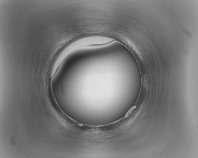 X0000115660589200911251711