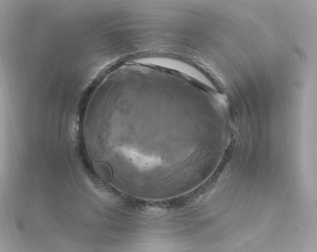 X0000115660592200911251711