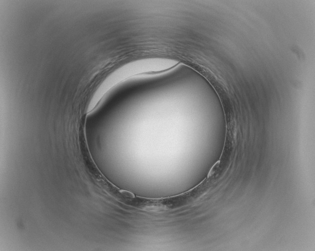 X0000115660595200911251711