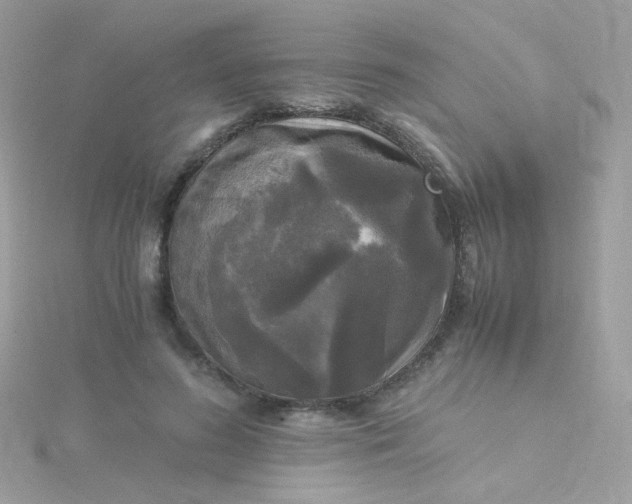 X0000115660596200911251711