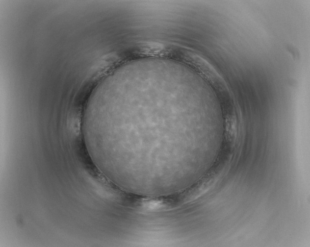 X0000115660602200911251711