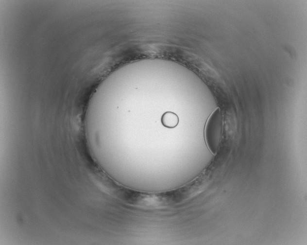 X0000115660611200911251711