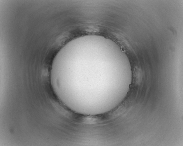 X0000115660614200911251711