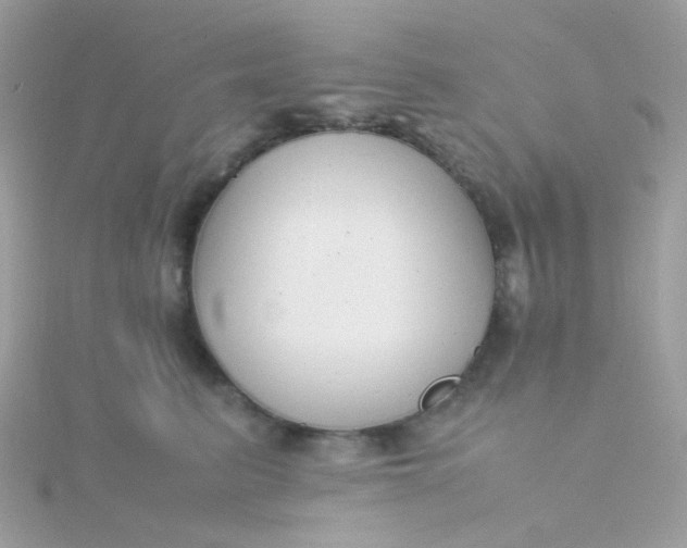 X0000115660615200911251711