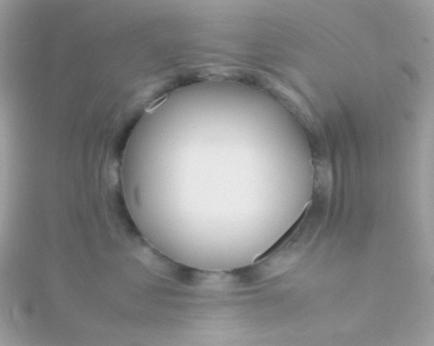 X0000115660621200911251711