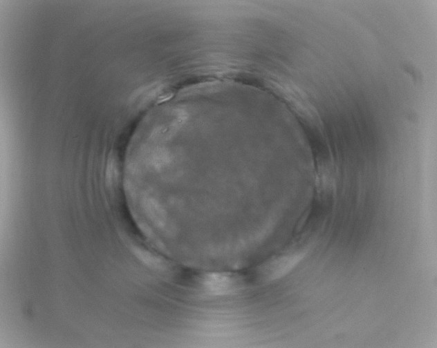 X0000115660623200911251711