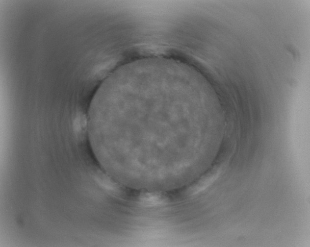X0000115660624200911251711