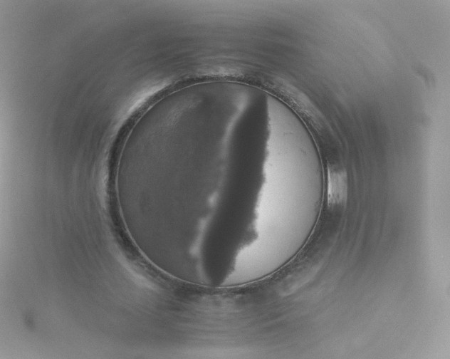 X0000115660627200911251710