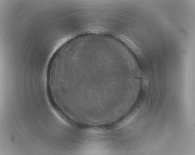 X0000115660630200911251710