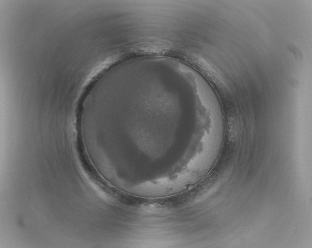 X0000115660634200911251710