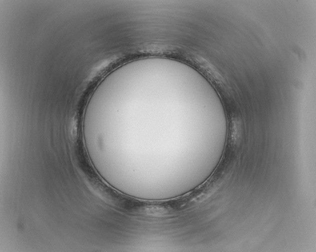 X0000115660636200911251710