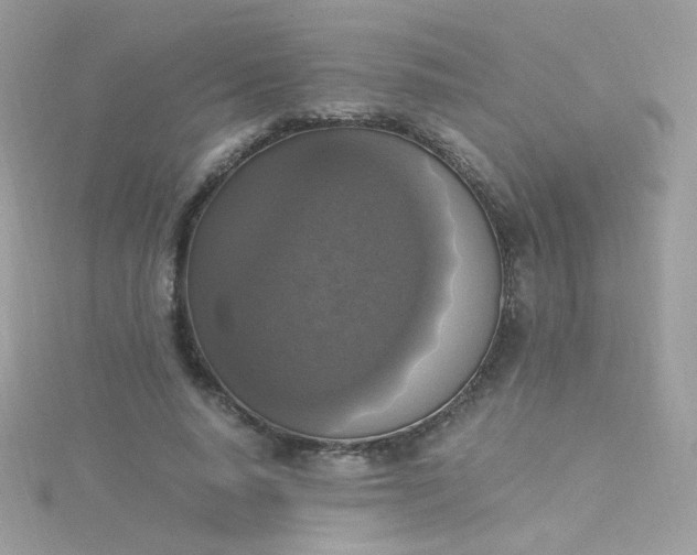 X0000115660640200911251710