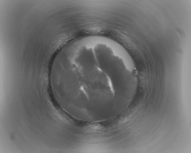 X0000115660642200911251710