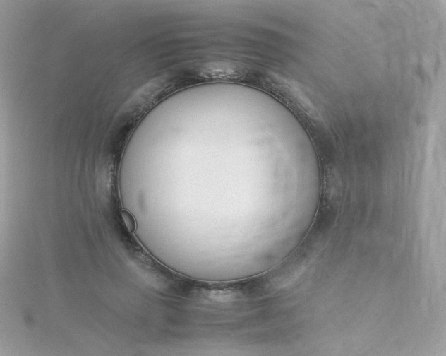 X0000115660645200911251710