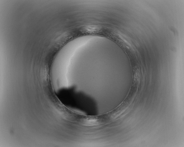 X0000115660651200911251710