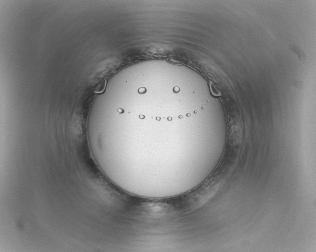 X0000115660654200911251711