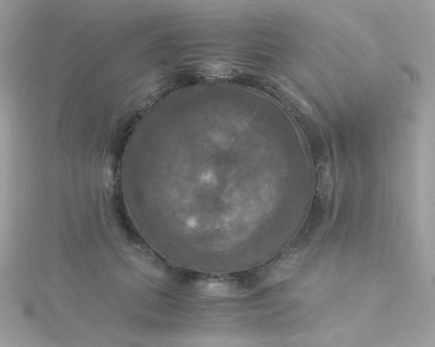 X0000115660655200911251711