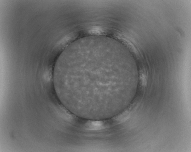 X0000115660665200911251711