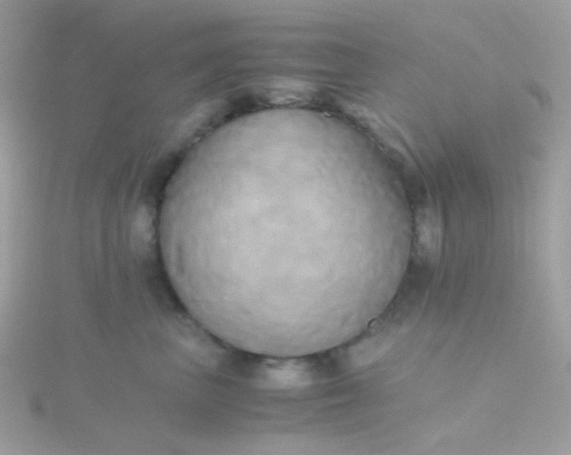 X0000115660667200911251711