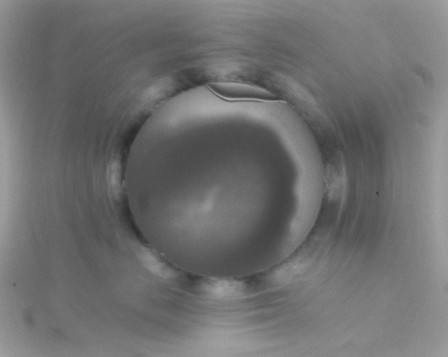 X0000115660670200911251711