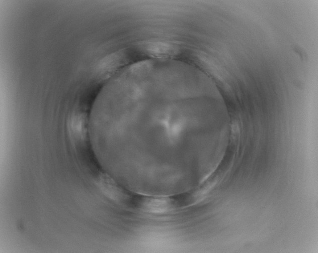 X0000115660671200911251711
