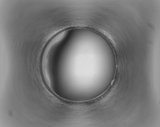 X0000115660673200911251710