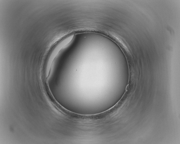 X0000115660677200911251710