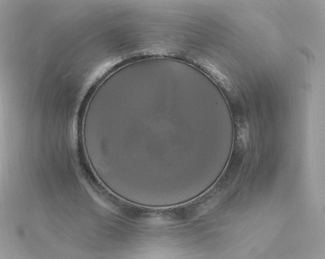 X0000115660678200911251710