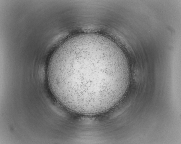 X0000115660690200911251710