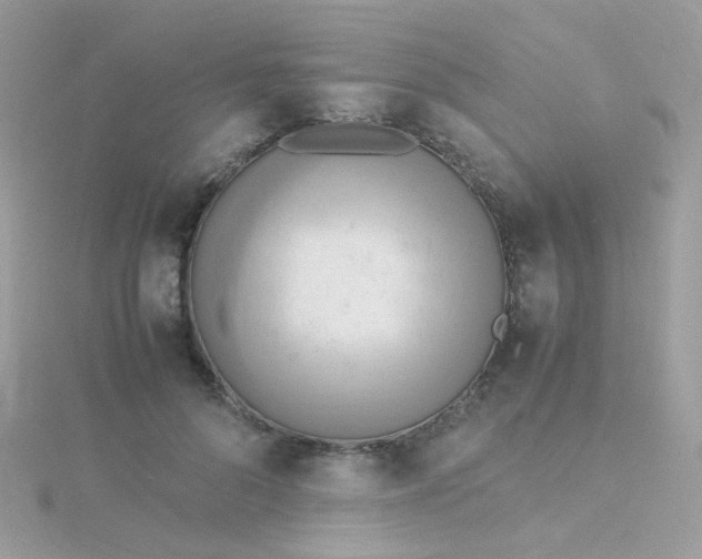 X0000115660696200911251710