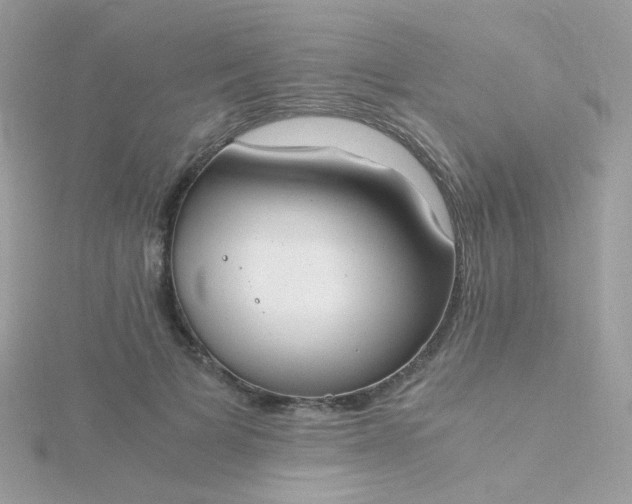 X0000115660697200911251710