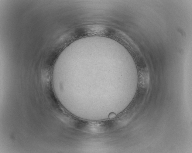 X0000115660701200911251710