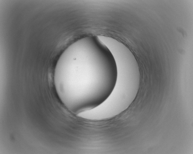 X0000115660720200911251710