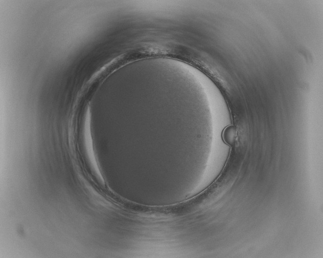 X0000115660722200911251709