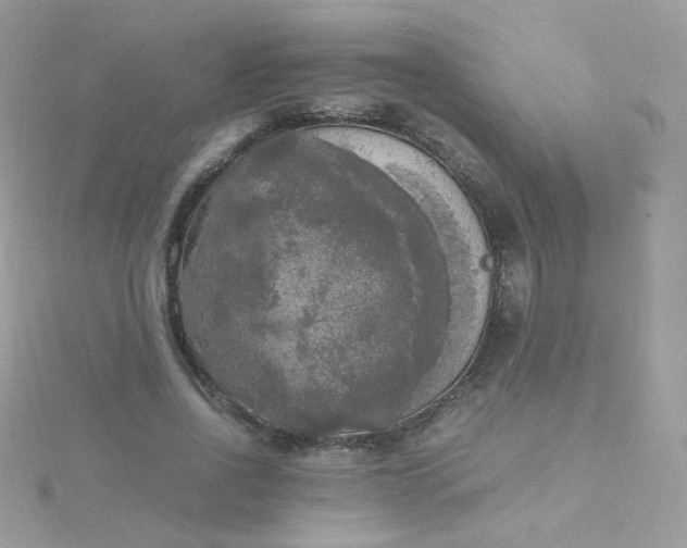 X0000115660734200911251709