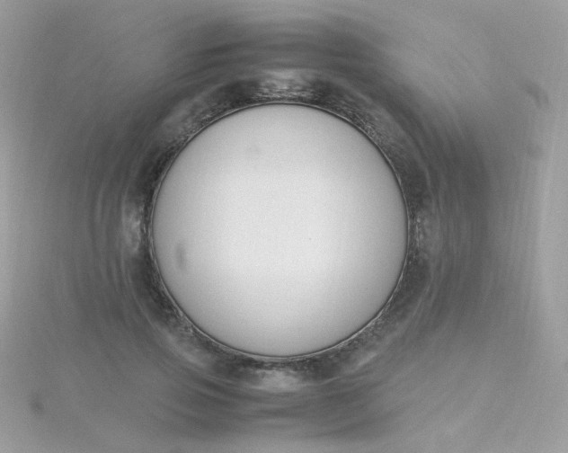 X0000115660741200911251709