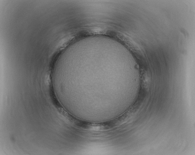 X0000115660746200911251709