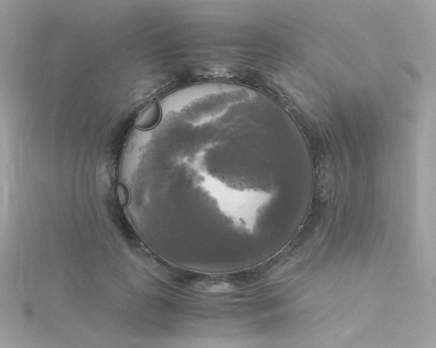 X0000115660747200911251709