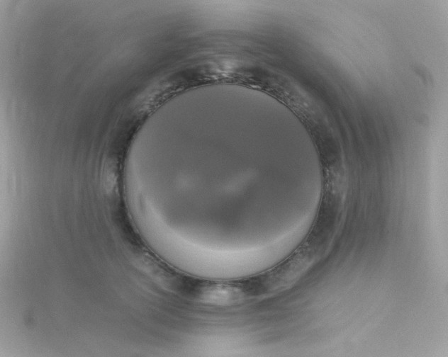 X0000115660754200911251709