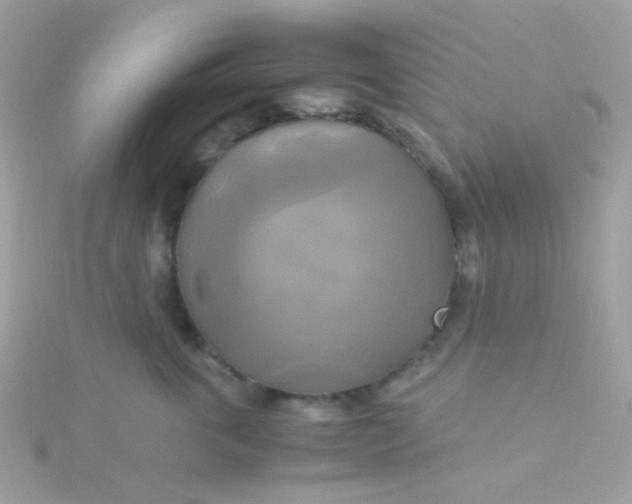 X0000115660763200911251709