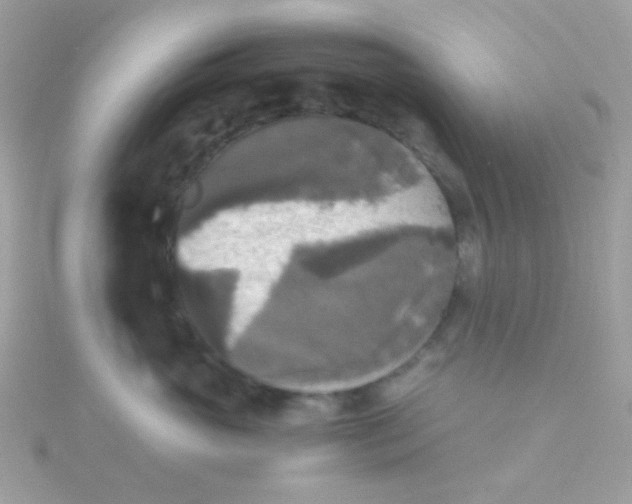 X0000115660765200911251709