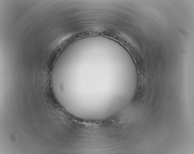 X0000115660773200911251709