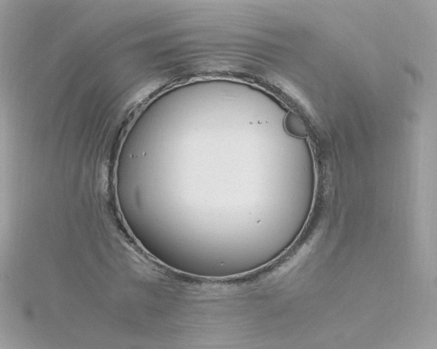 X0000115660777200911251709