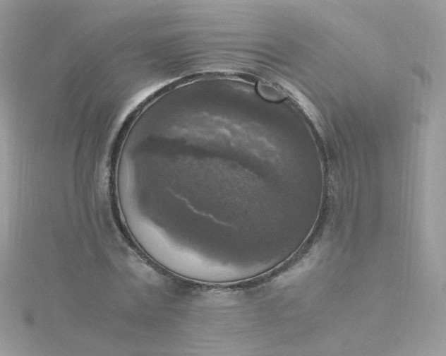 X0000115660779200911251709