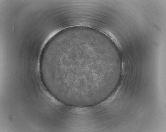 X0000115660780200911251709