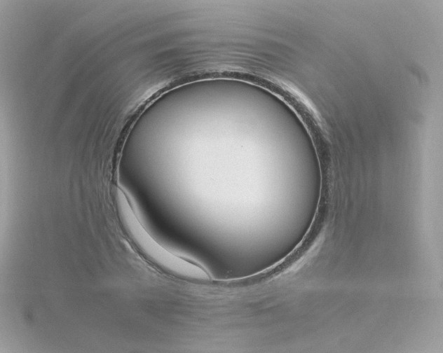 X0000115660785200911251709